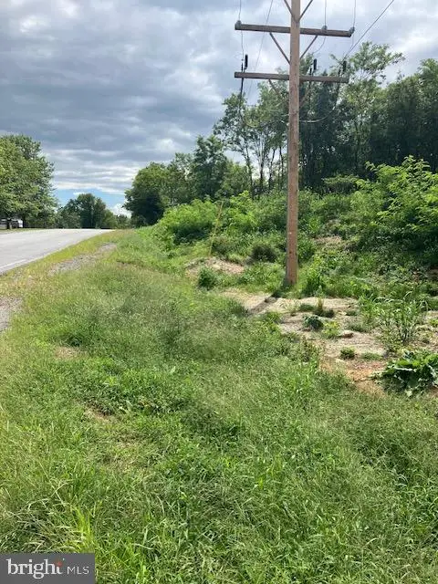 Lot 4 Partnership Ct, Williamsport, MD 21795 - #3
