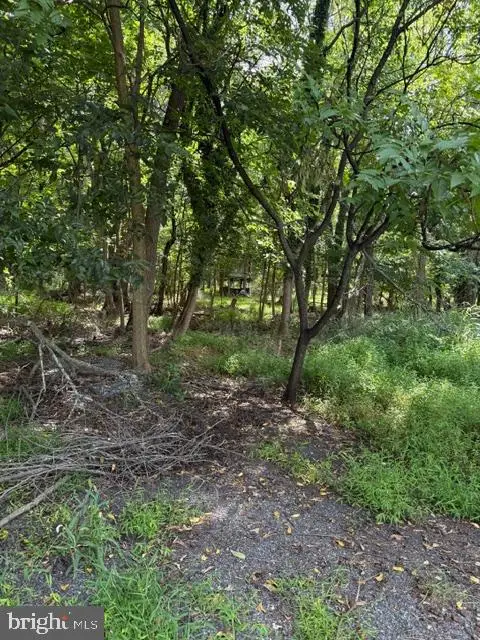 50 Saint Paul St #lot 3, Boonsboro, MD 21713 - #1