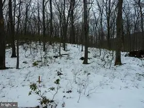 12025 National Pike, Clear Spring, MD 21722 - #3