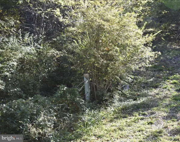 Sable Run Rd, HANCOCK, MD 21750