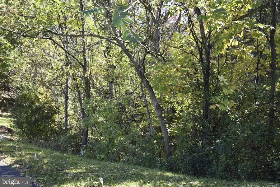 Sable Run Rd, Hancock, MD 21750 - #2