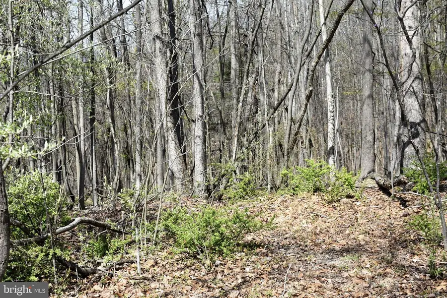Sable Run Rd, Hancock, MD 21750 - #3