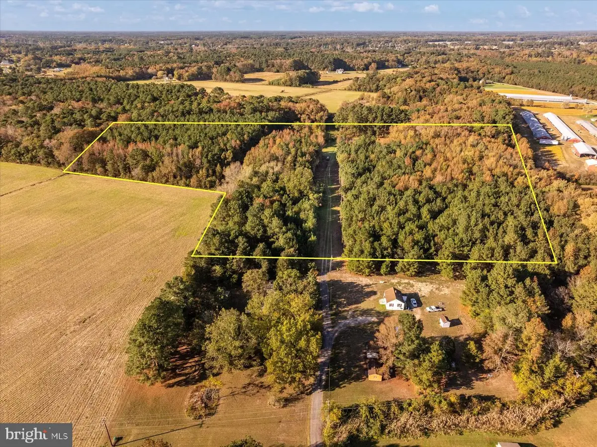 27336 Walnut Tree Rd, Salisbury, MD 21801 - Image #1