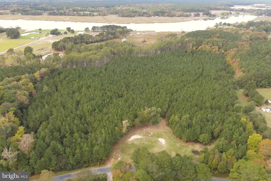 24959 Collins Wharf Rd, Eden, MD 21822 - Image #2