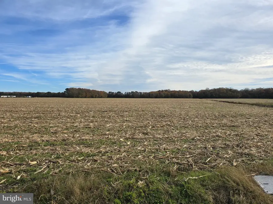 0 Richardson Rd, Willards, MD 21874 - Image #3