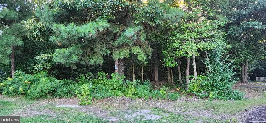 Lot #8 Arrowwood Ct, Salisbury, MD 21801 - Image #2