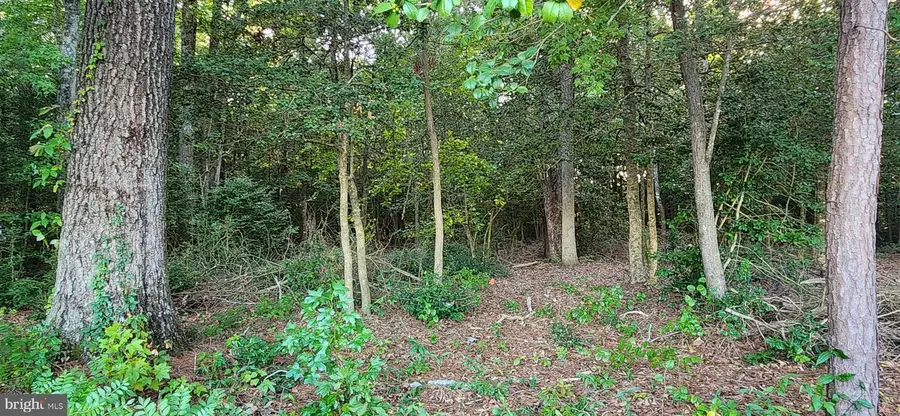 Lot #8 Arrowwood Ct, Salisbury, MD 21801 - Image #3