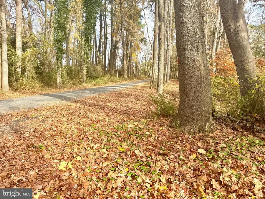 0 Cottman Rd, Allen, MD 21810 - Image #2