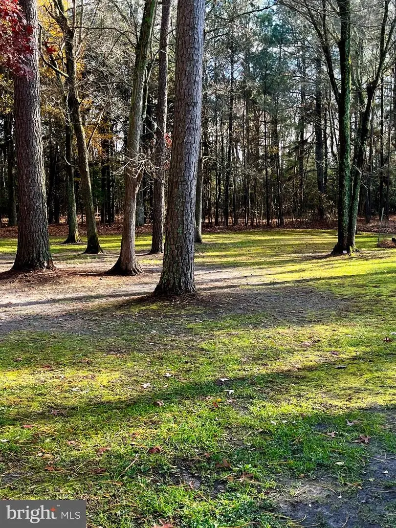 30695 Foxchase Dr, Salisbury, MD 21804 - Image #3