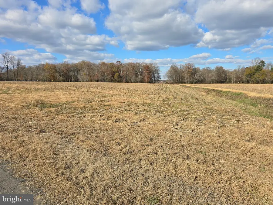 0 Lot 1 Poplar Neck #road, Willards, MD 21874 - Image #2