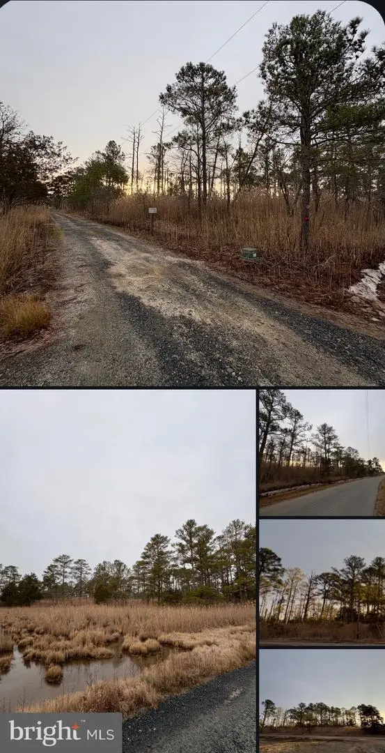 0 Clara Rd, Tyaskin, MD 21865 - Image #2