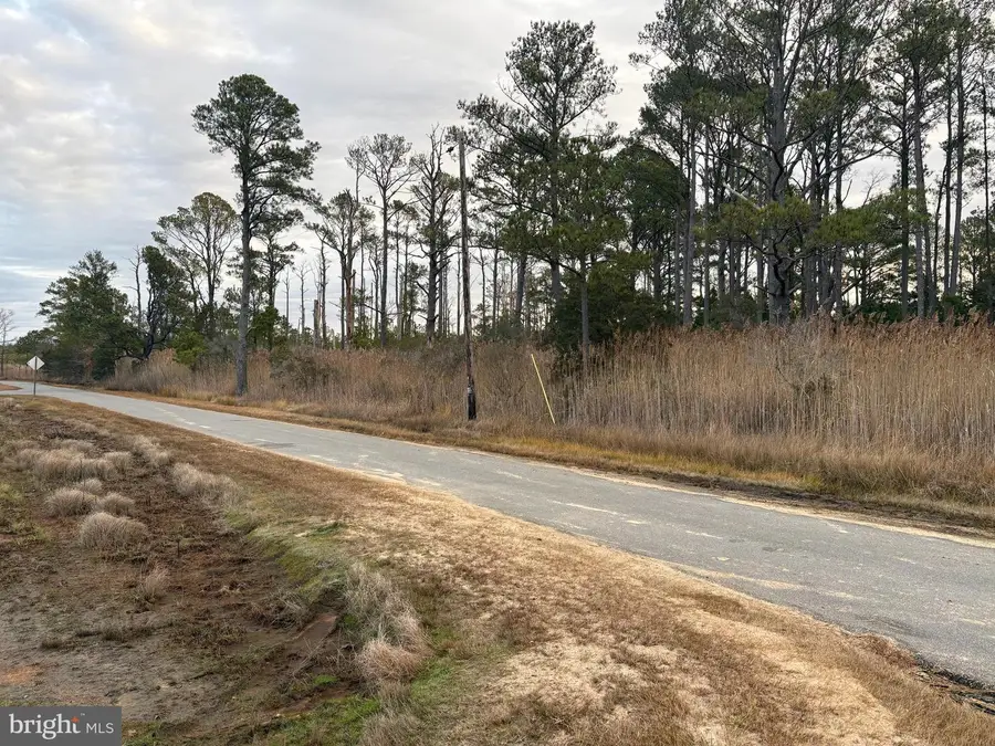 0 Clara Rd, Tyaskin, MD 21865 - Image #3