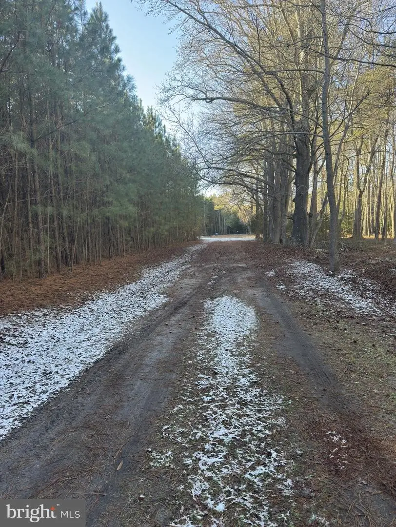 10228 Sharptown Rd, Mardela Springs, MD 21837 - Image #3