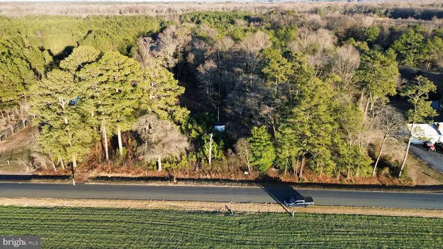 8313 Littleton Rd, Willards, MD 21874 - Image #3