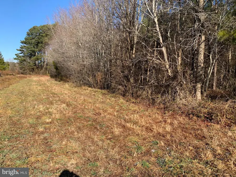 34350 Main St, Pittsville, MD 21850 - Image #3