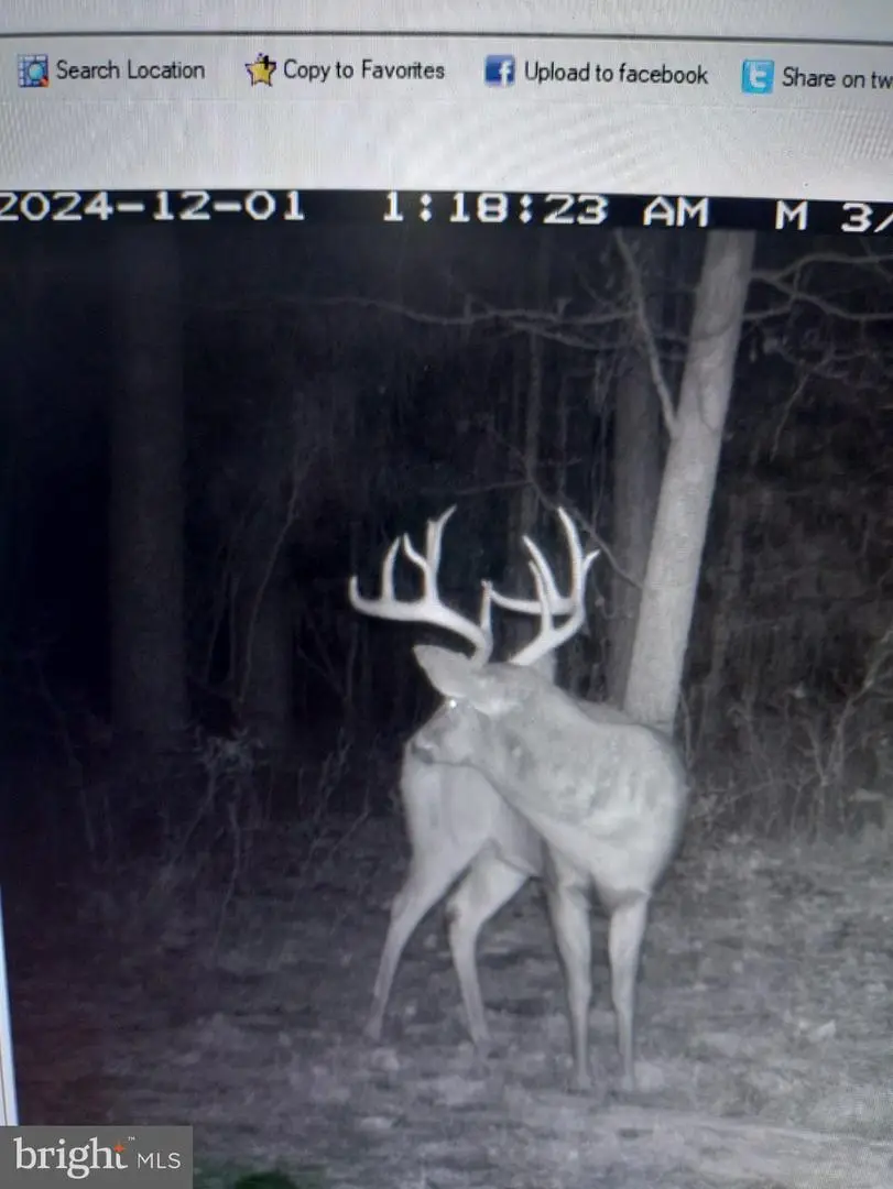 Lot2a Cardinal Dr, Salisbury, MD 21801 - Image #1