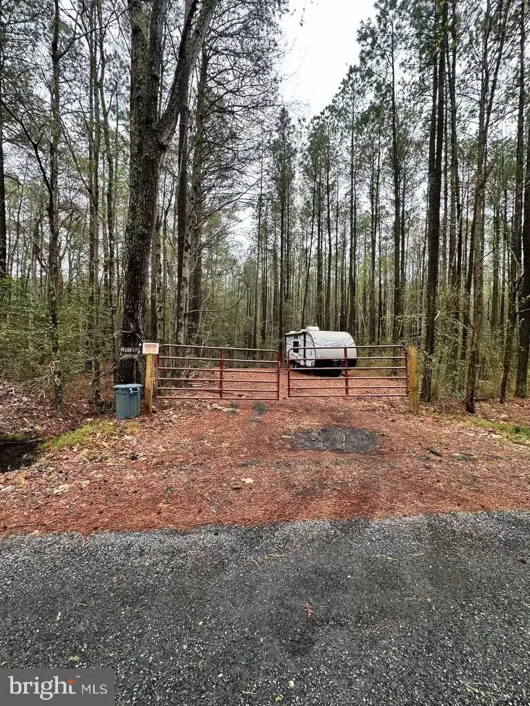 007 Muddy Hole Rd, Tyaskin, MD 21865 - Image #3