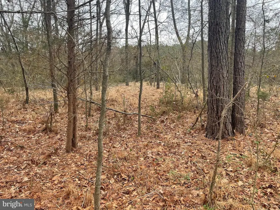 0 Wetipquin Rd, Quantico, MD 21856 - #3