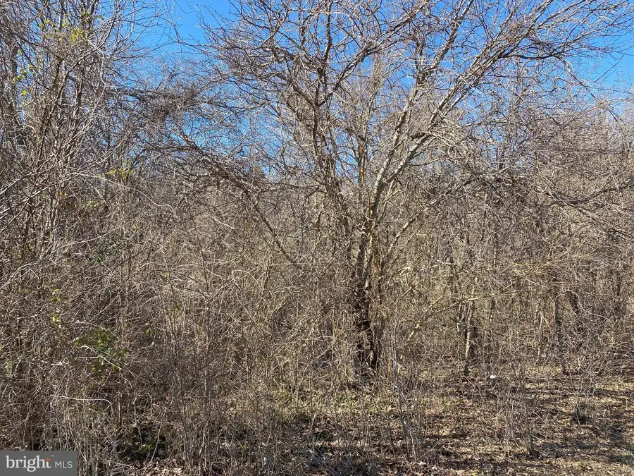 0 Hammond School Rd, Salisbury, MD 21804 - #2