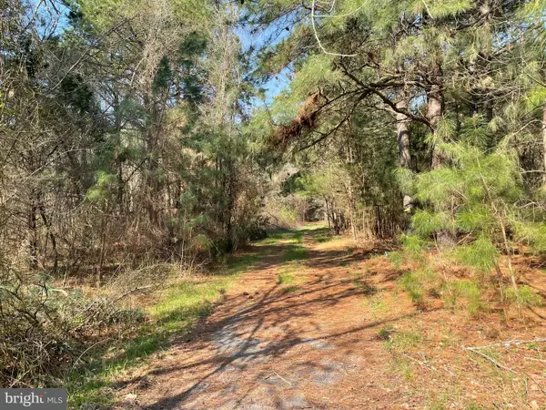 Foskey Ln, DELMAR, MD 21875