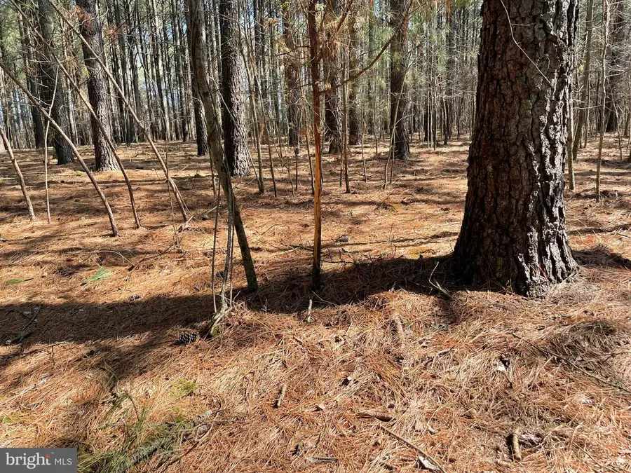 Foskey Ln, Delmar, MD 21875 - #2