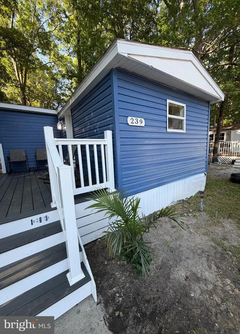 239 Dove St, Salisbury, MD 21801 - #1