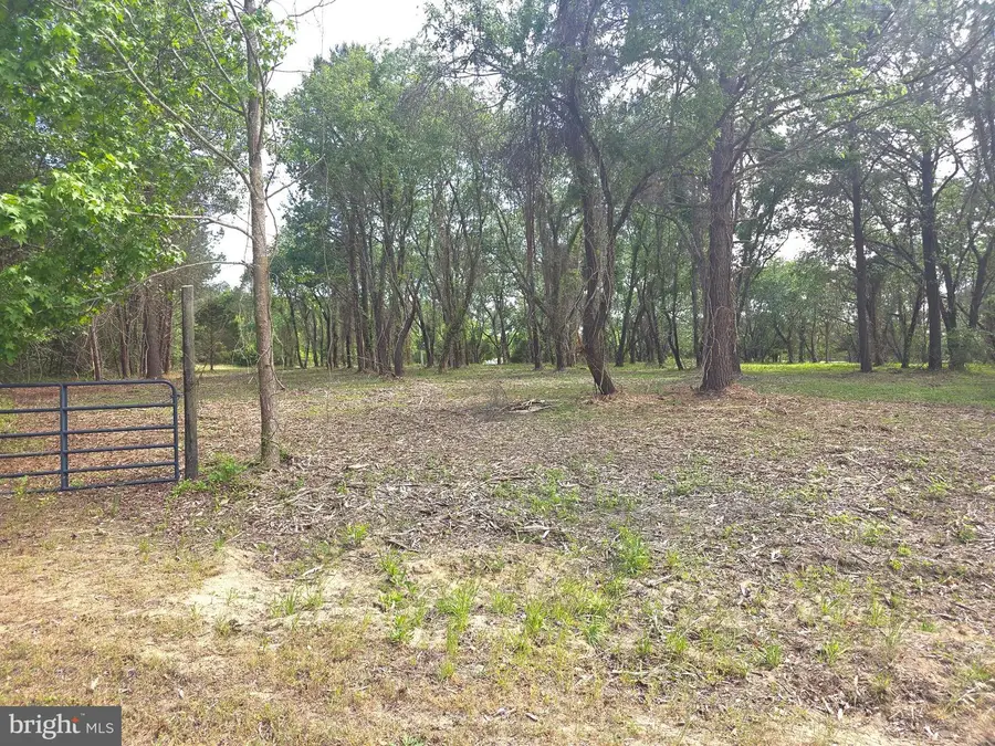 Lot 1 Red Hill Ln, Nanticoke, MD 21840 - #3