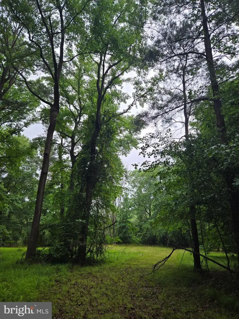 Cooper Rd, Eden, MD 21822 - #1