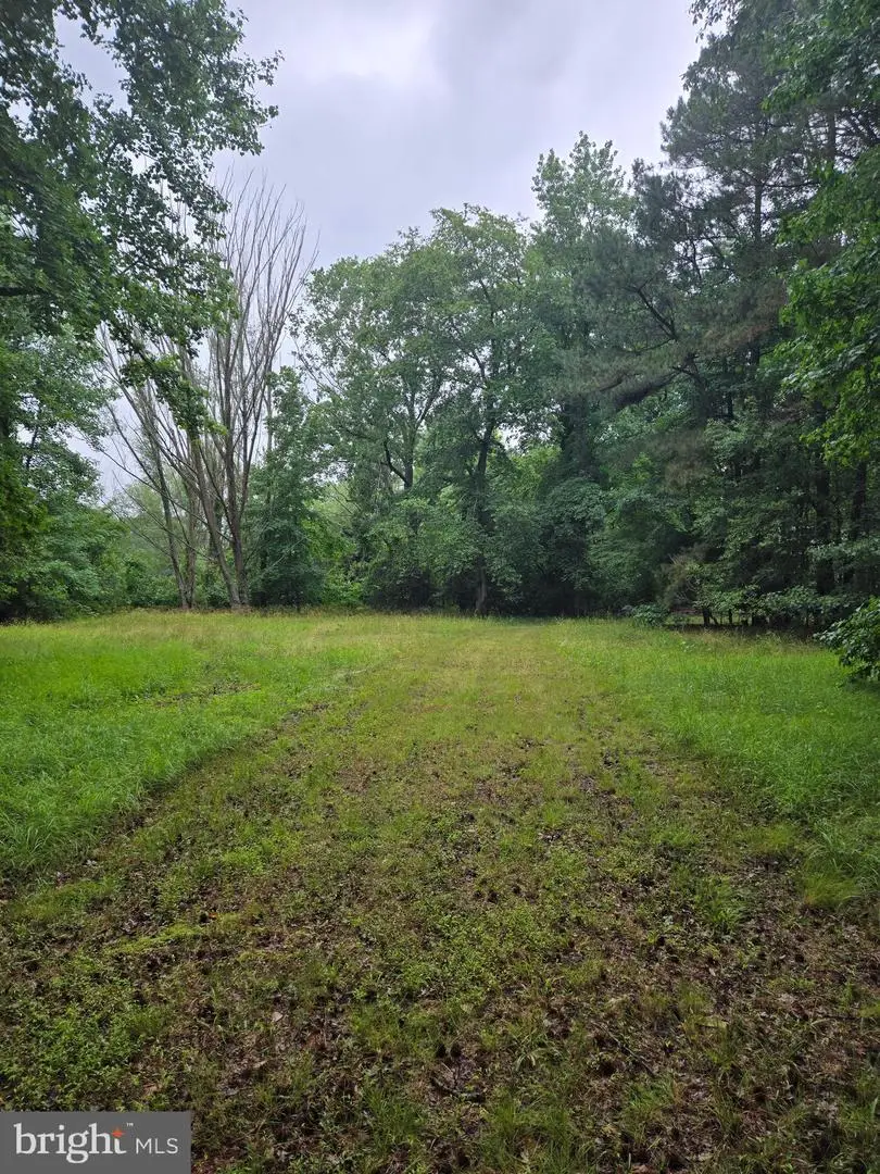 Cooper Rd, Eden, MD 21822 - #2