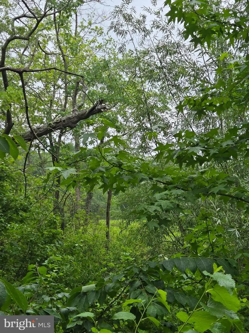 Cooper Rd, Eden, MD 21822 - #3