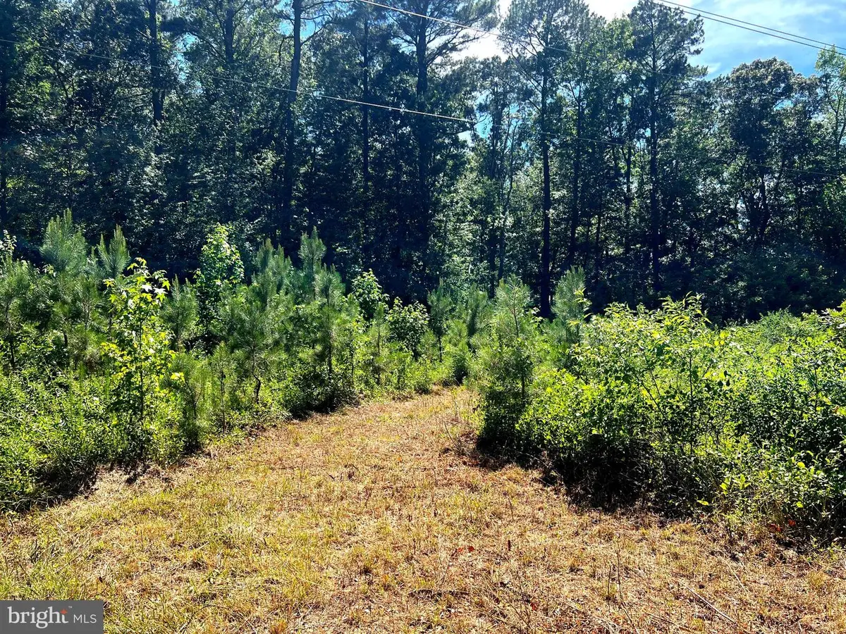 Cedar Ct, Hebron, MD 21830 - #1