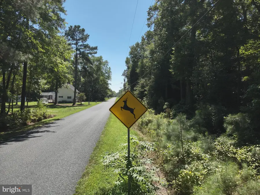 Jesterville Rd, Tyaskin, MD 21865 - #2
