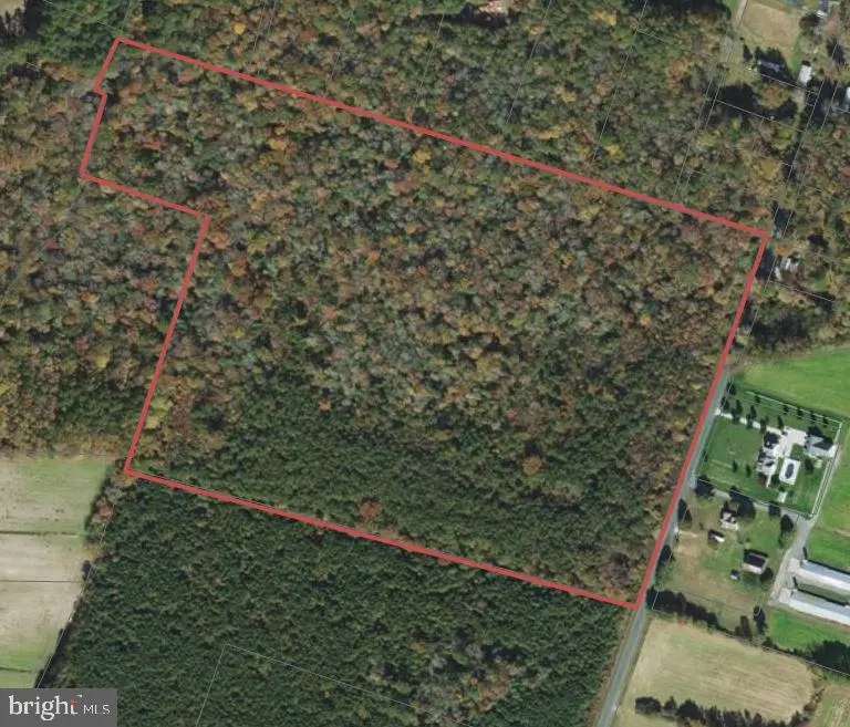 Jesterville Rd, Tyaskin, MD 21865 - #3