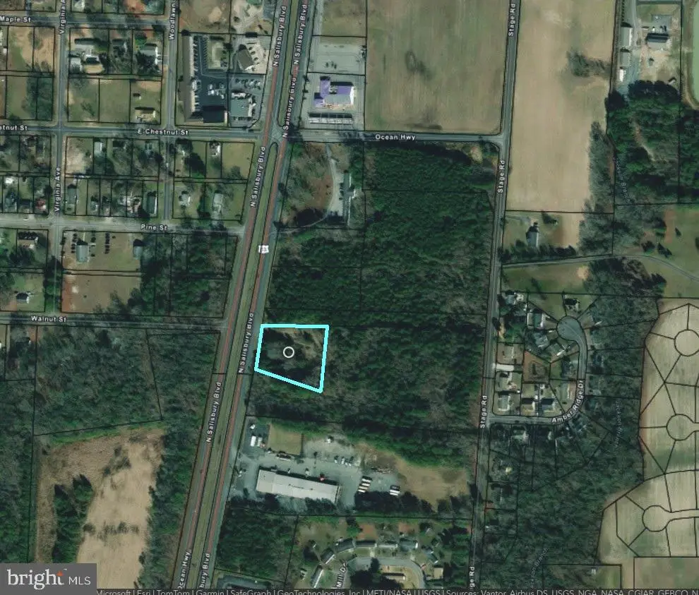 9419 Ocean Hwy, Delmar, MD 21875 - #1