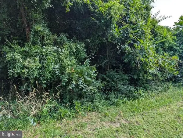2685 Bank Rd, NANTICOKE, MD 21840