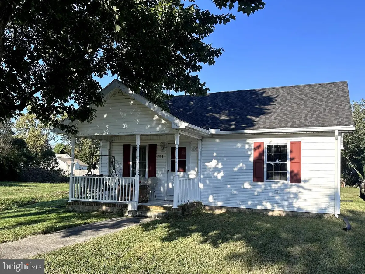 203 W Main St, Fruitland, MD 21826 - #1