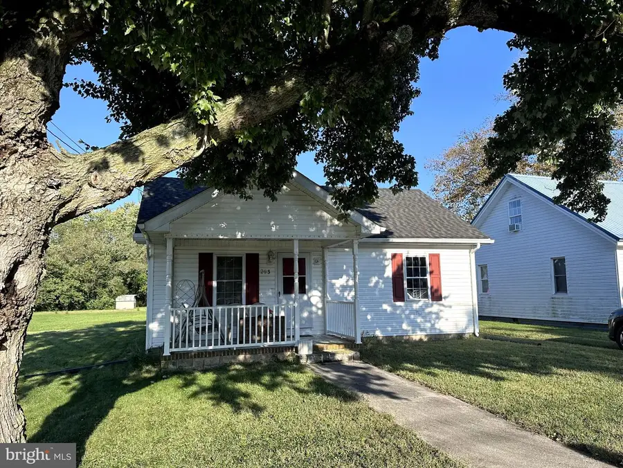 203 W Main St, Fruitland, MD 21826 - #2