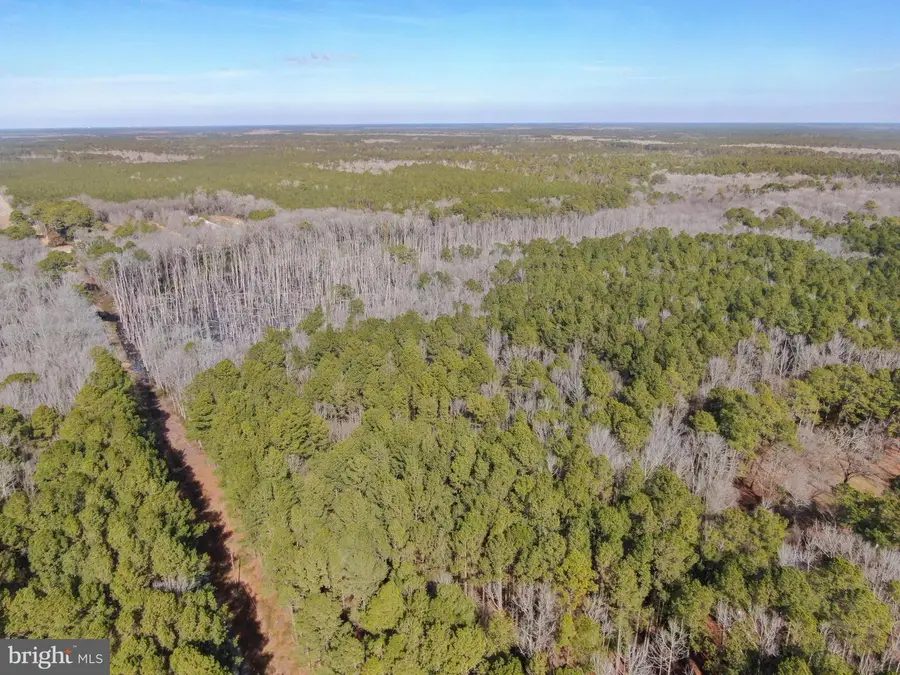 Lot 1 Sand Road, Snow Hill, MD 21863 - Image #3
