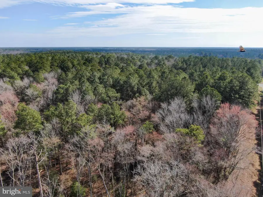 Lot 4 Sand Road, Snow Hill, MD 21863 - Image #3