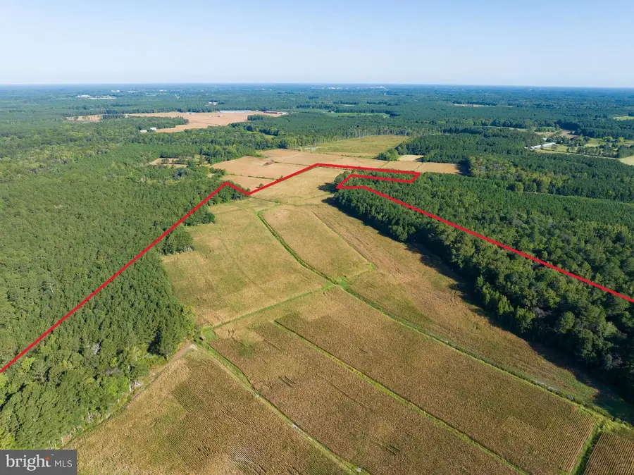 0 Greenbriar Swamp Rd, Salisbury, MD 21804 - Image #2