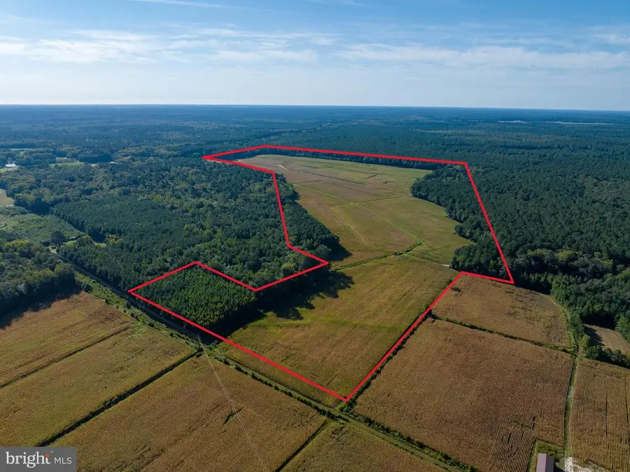 0 Greenbriar Swamp Rd, Salisbury, MD 21804 - Image #3