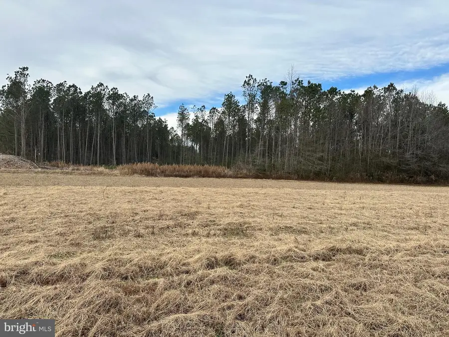 0 Whitesburg, Snow Hill, MD 21863 - Image #2