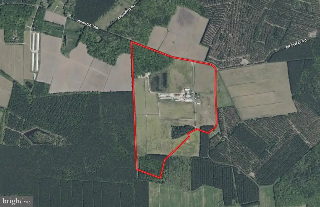 641 Critcher Rd, Pocomoke City, MD 21851 - Image #1