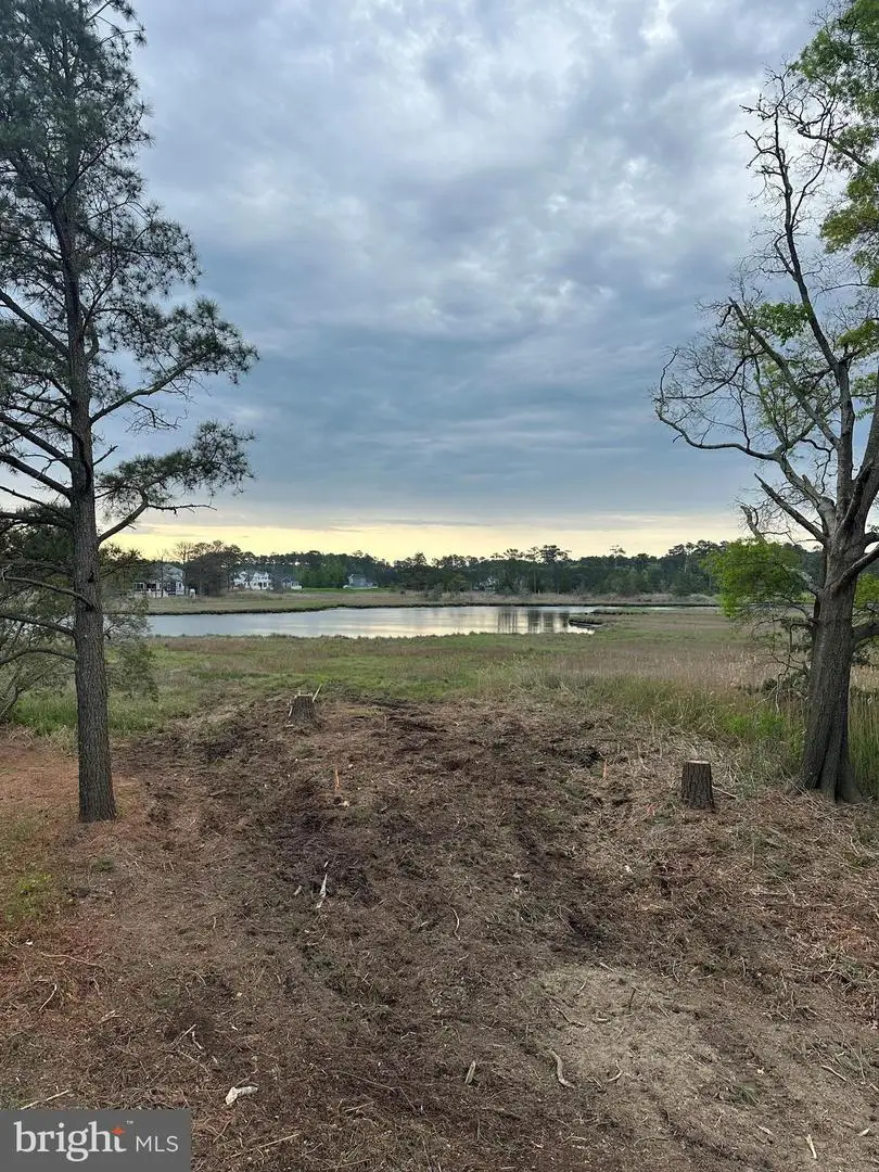 10112 Sweet As Sugar Ln, Berlin, MD 21811 - Image #2