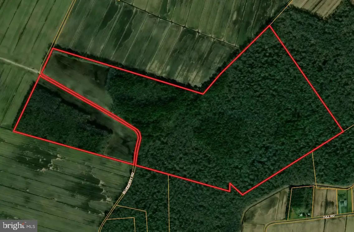 Blueberry Rd, Whaleyville, MD 21872 - #1