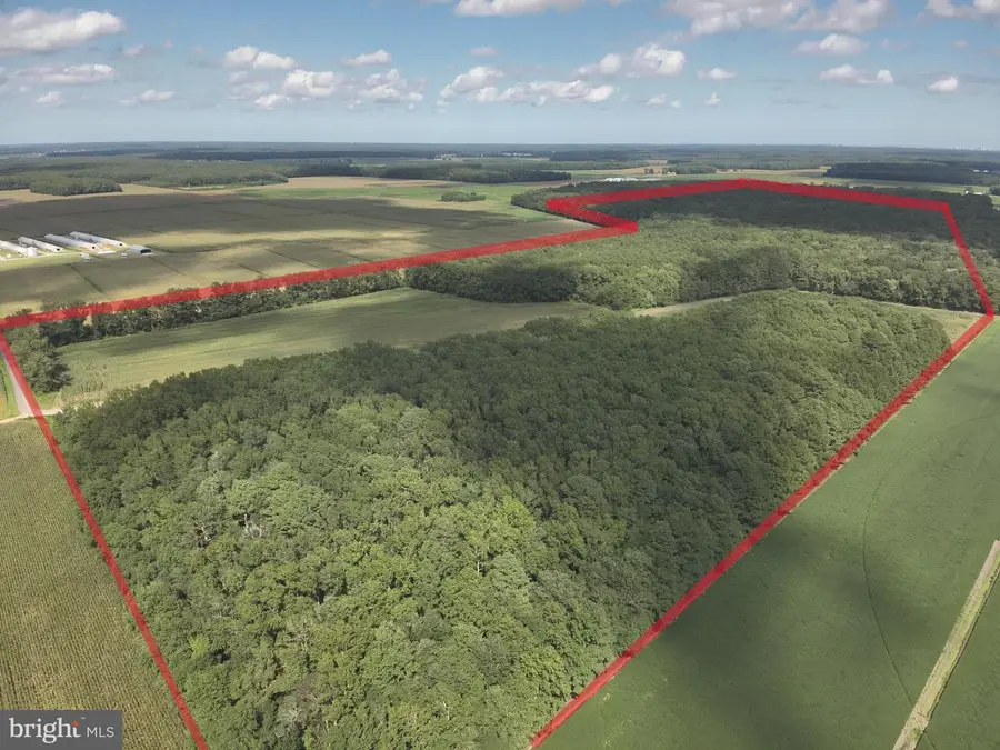 Blueberry Rd, Whaleyville, MD 21872 - #3