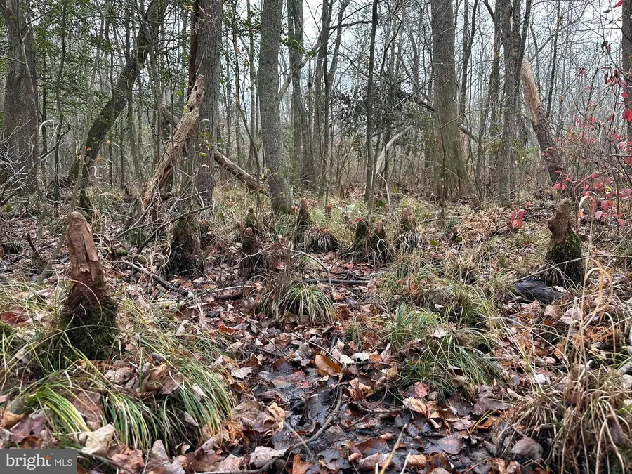 0 Fleming Mill, Pocomoke City, MD 21851 - #3