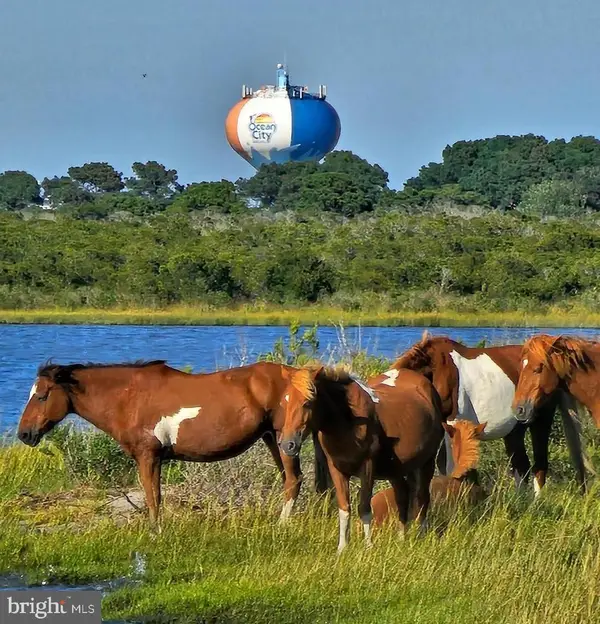 Stephen Decatur Highway, OCEAN CITY, MD 21842