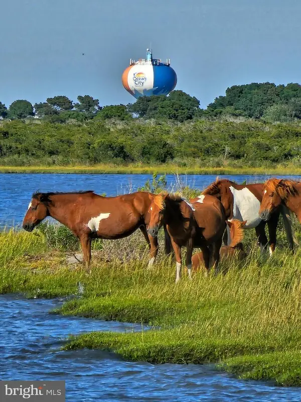 Lot 3 Stephen Decatur, OCEAN CITY, MD 21842