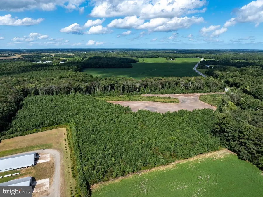 9431 Whaleyville Road, Whaleyville, MD 21872 - #3